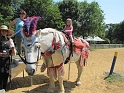 RTvisit_SFaire (186)
